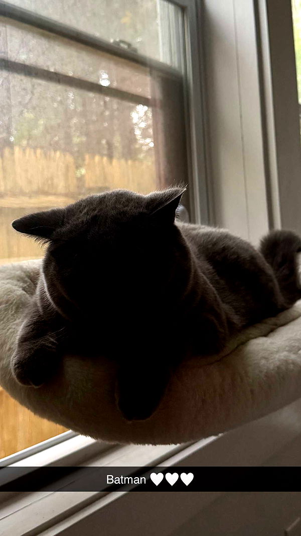 emelye.ender image ~ Altpins