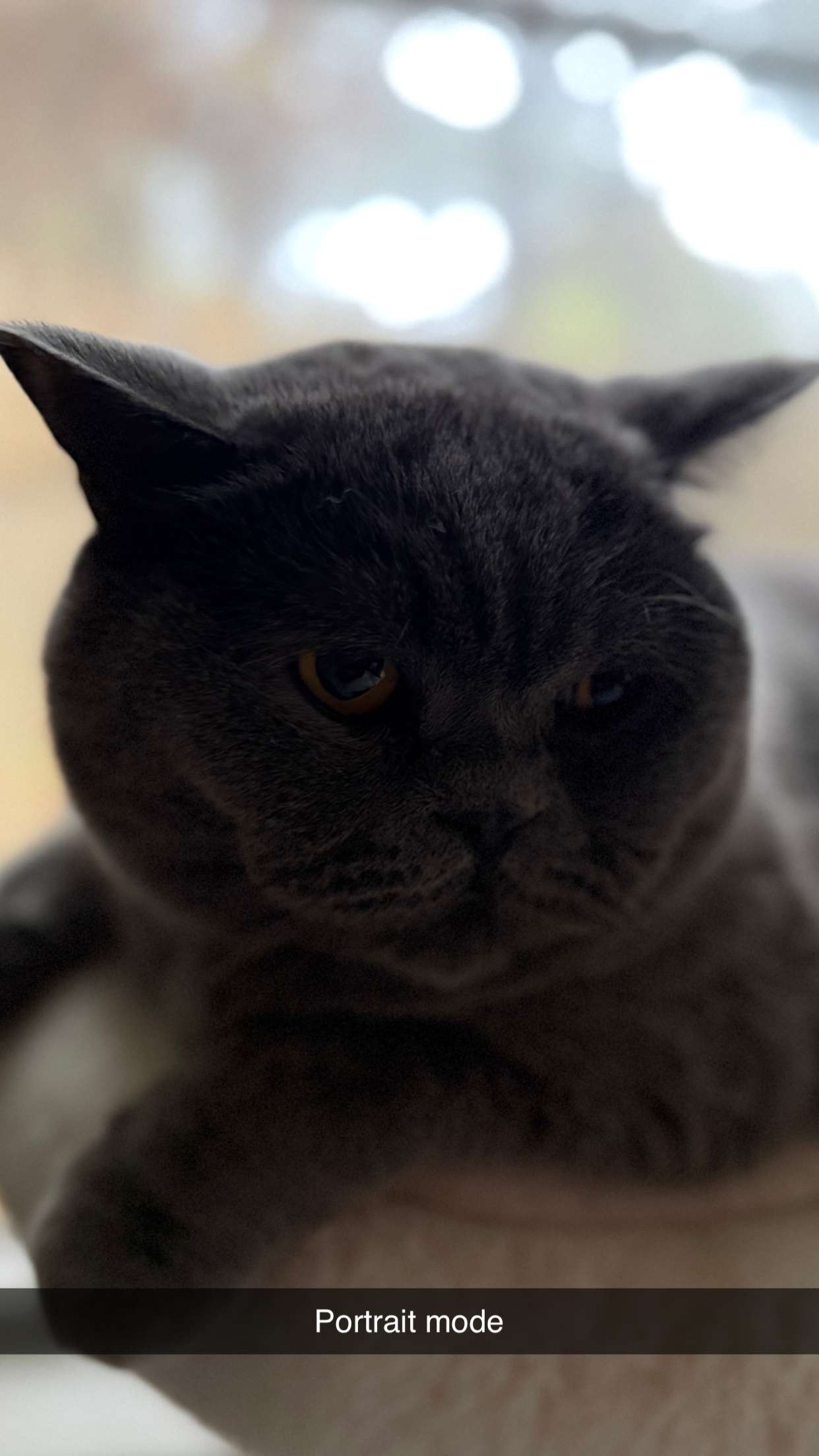 emelye.ender snapchat image archive image