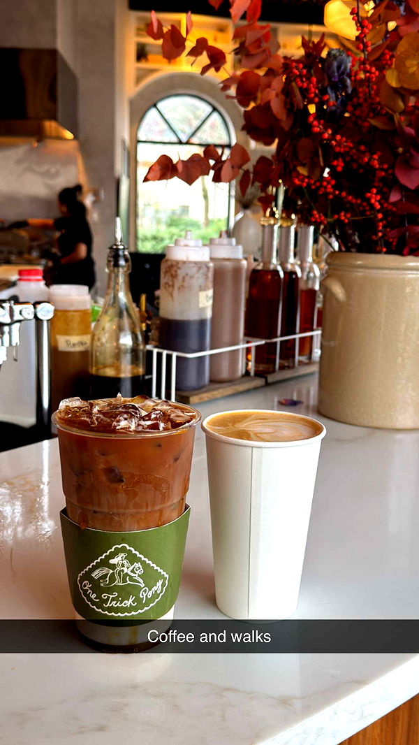 emelye.ender image ~ Altpins