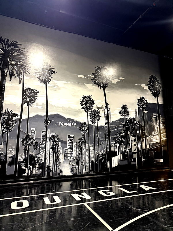 emelye.ender image ~ Altpins