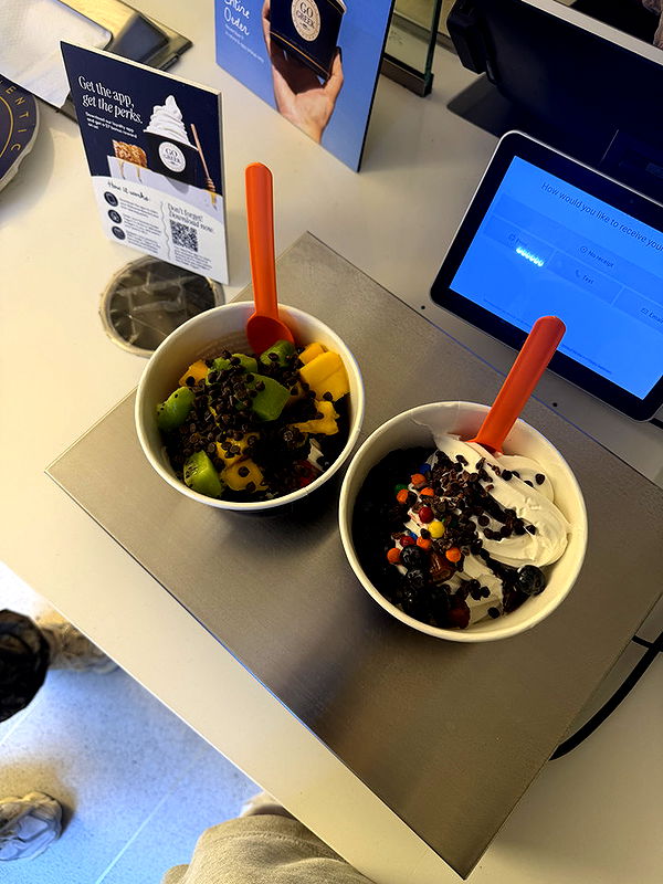 emelye.ender image ~ Altpins