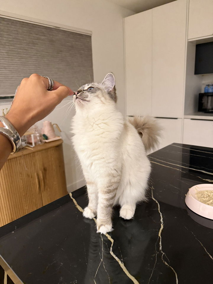 emelye.ender snapchat image archive image