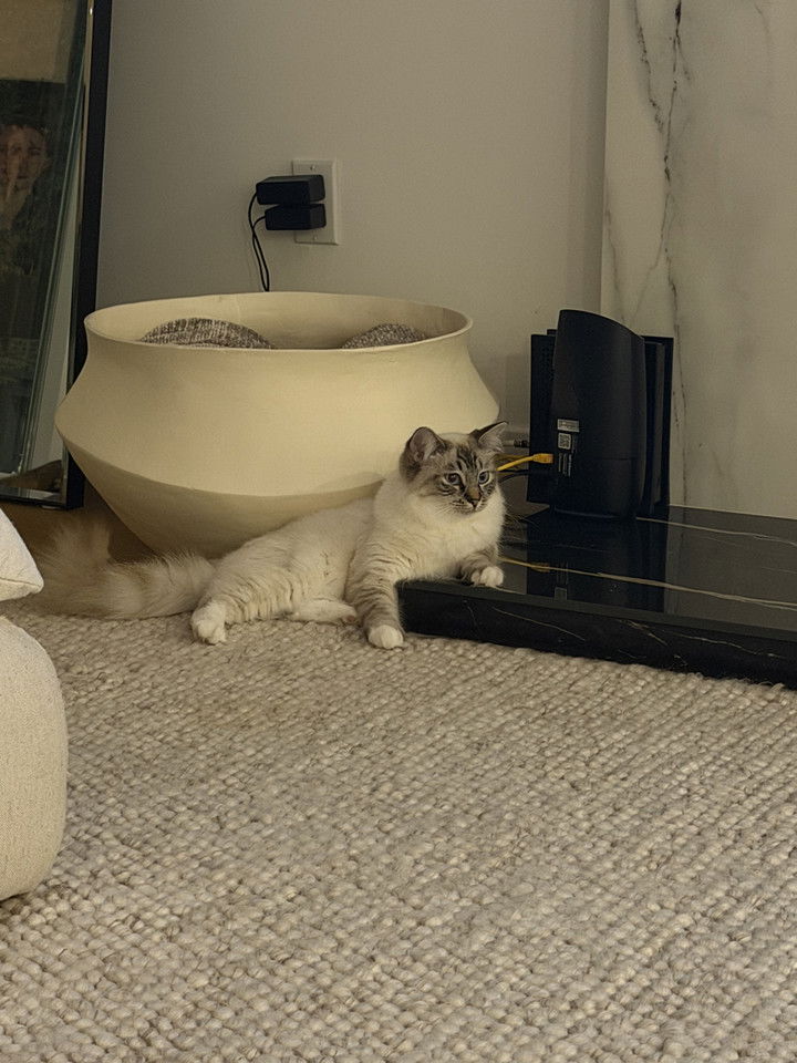 emelye.ender snapchat image archive image