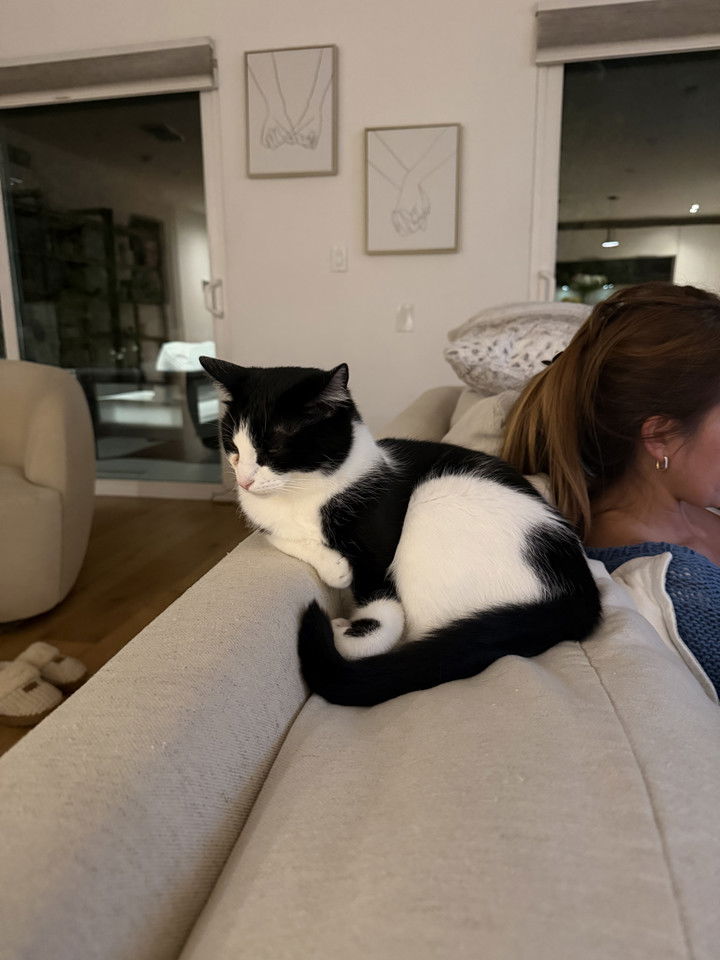 emelye.ender snapchat image archive image