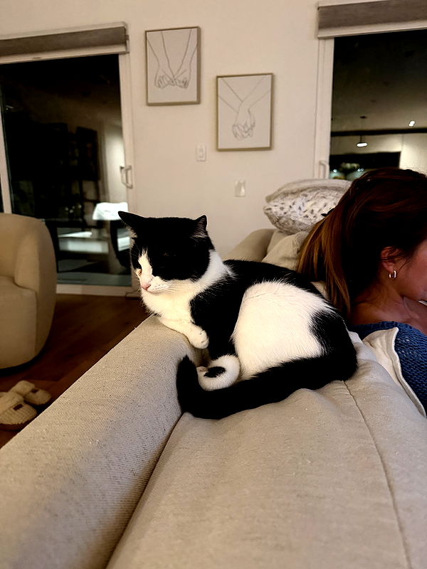 emelye.ender image ~ Altpins