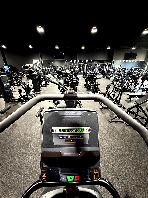 emelye.ender image ~ Altpins