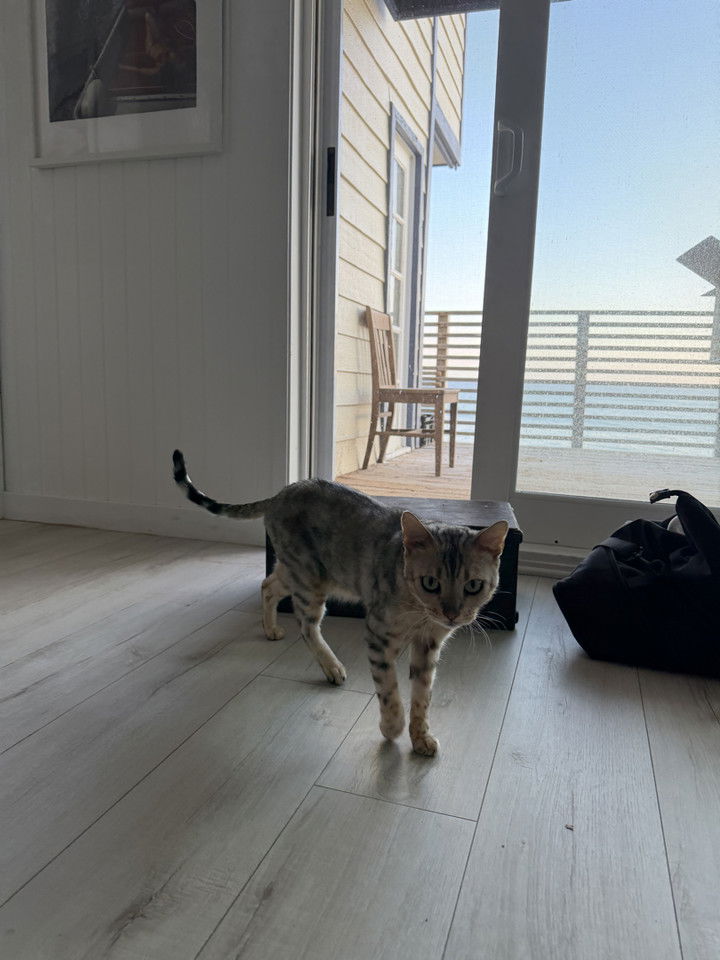 emelye.ender snapchat image archive image