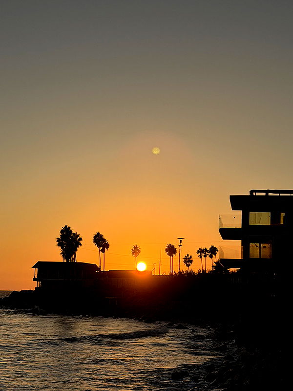 emelye.ender image ~ Altpins