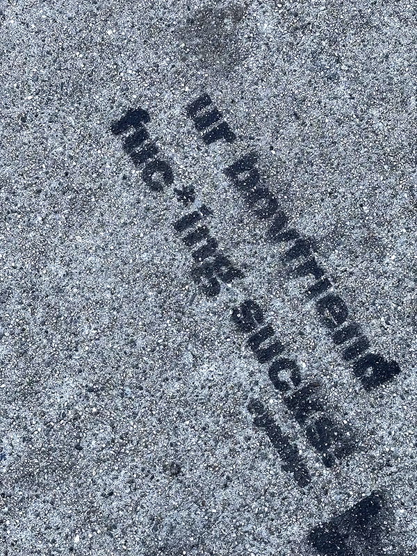 emelye.ender image ~ Altpins