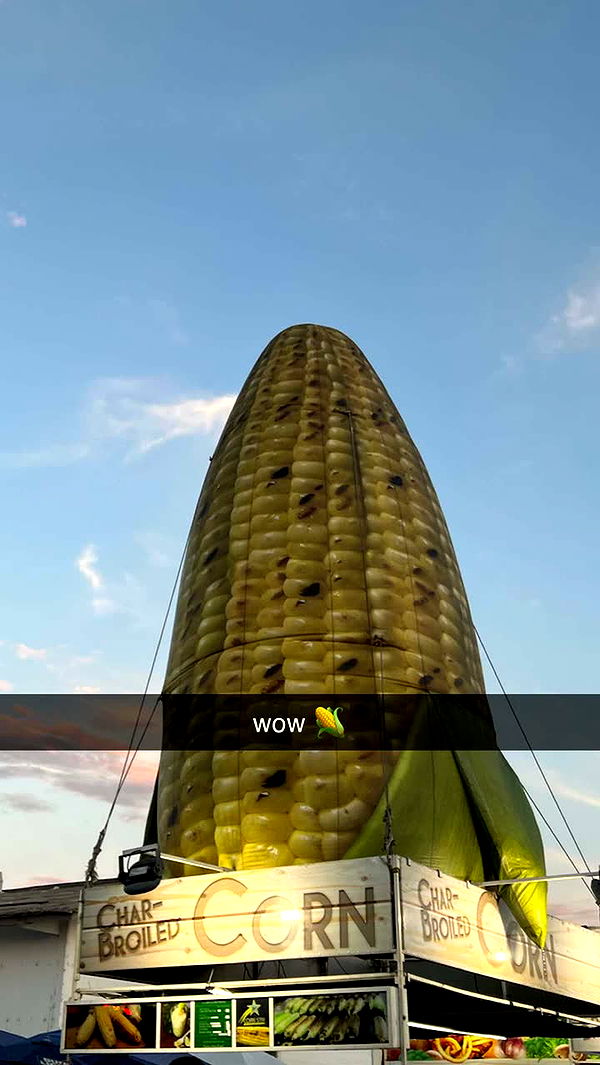 emilyelizabbeth image ~ Altpins