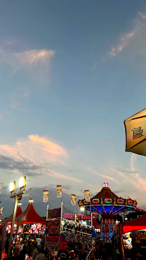 emilyelizabbeth image ~ Altpins