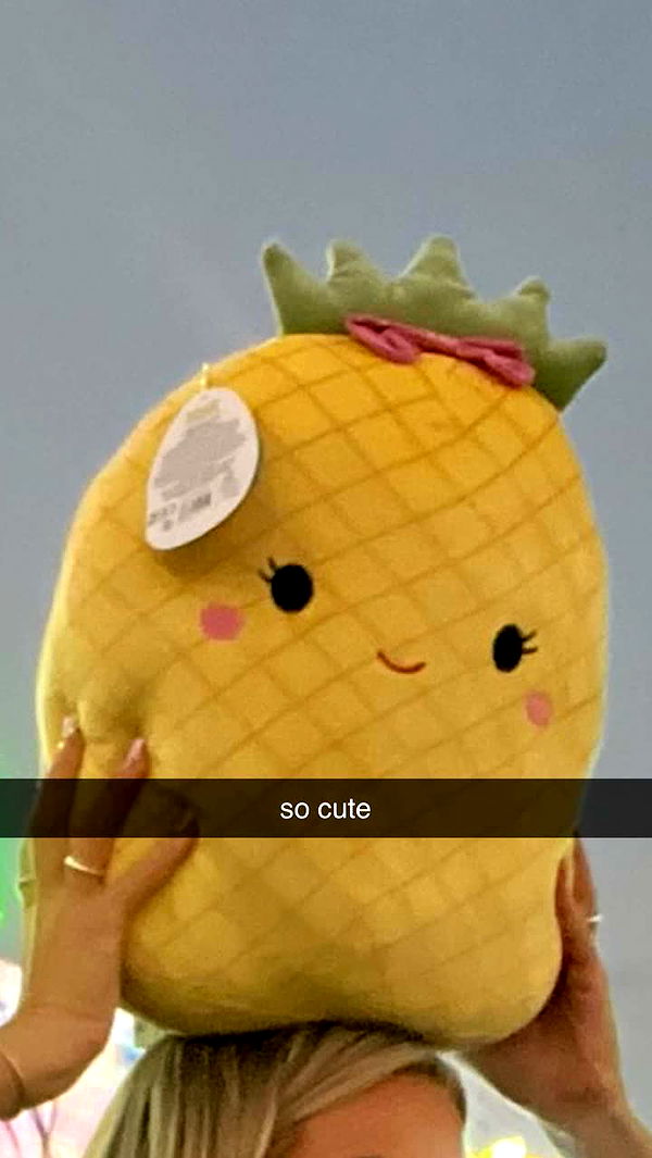 emilyelizabbeth image ~ Altpins