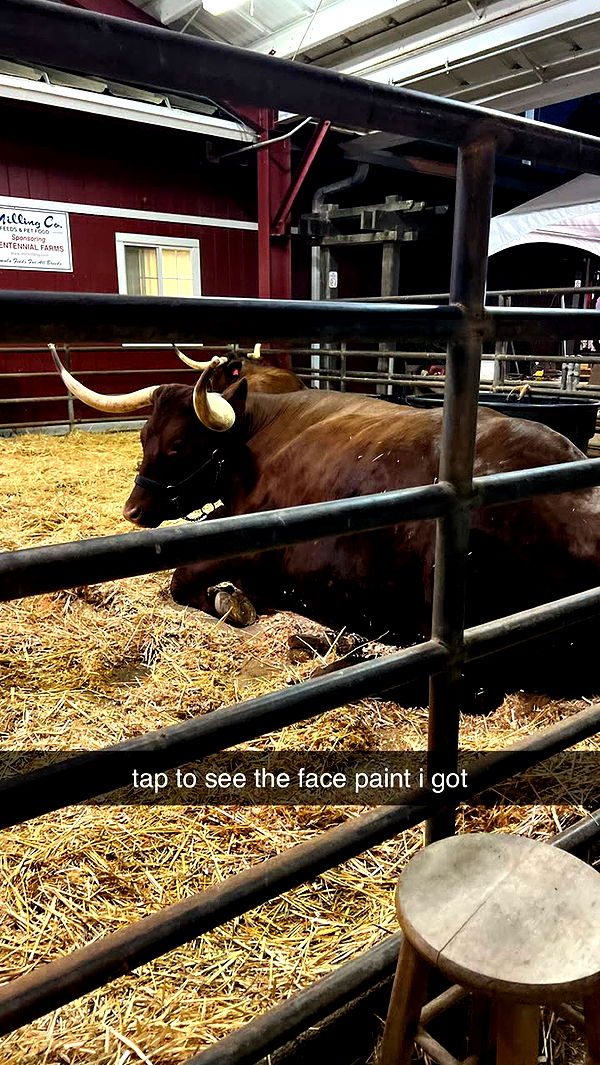 emilyelizabbeth image ~ Altpins