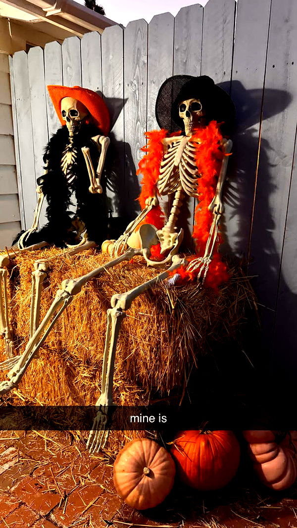 emilyelizabbeth image ~ Altpins