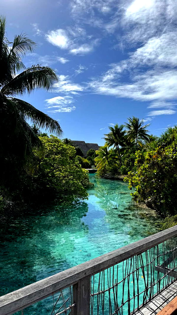 emilyelizabbeth image ~ Altpins