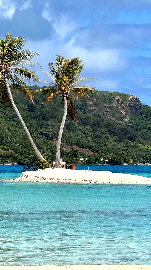 emilyelizabbeth image ~ Altpins