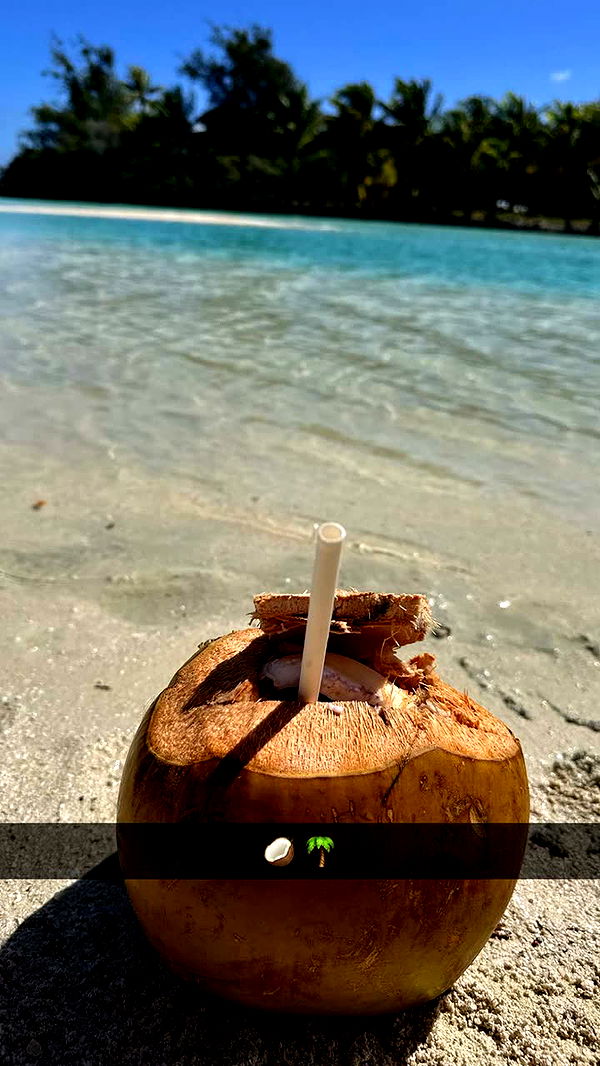 emilyelizabbeth image ~ Altpins