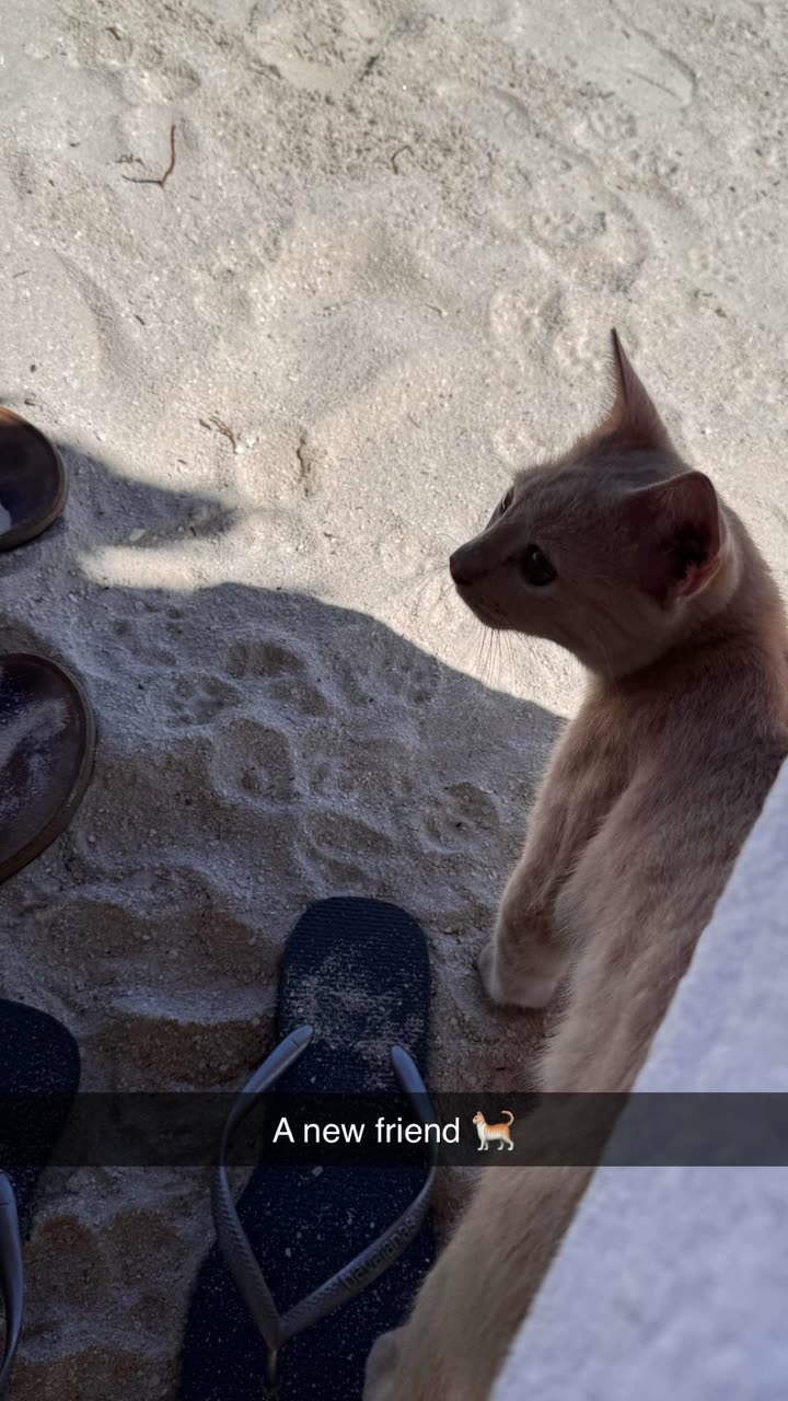 emilyelizabbeth snapchat image archive image