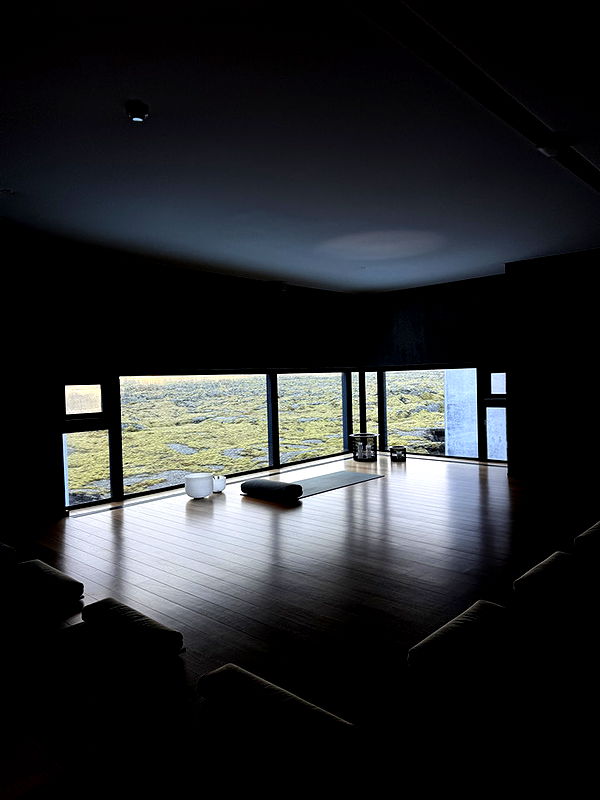 emilyelizabbeth image ~ Altpins