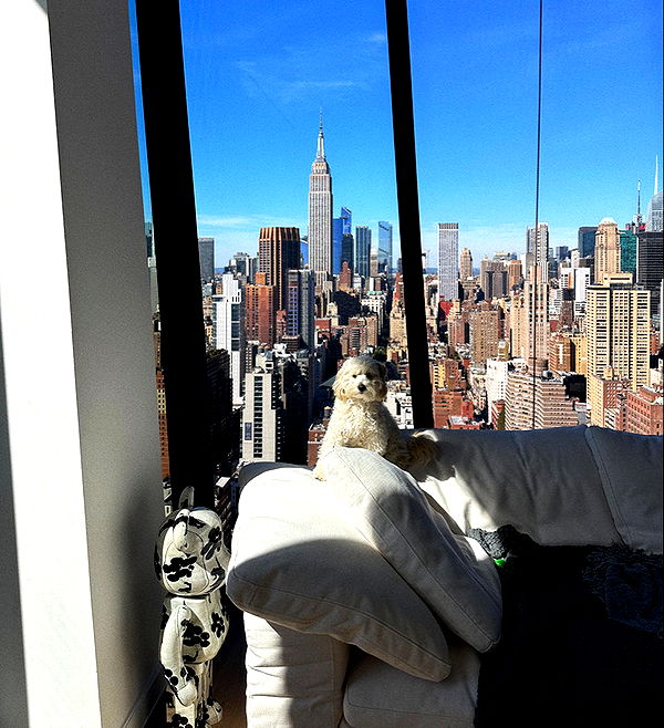 emilyelizabbeth image ~ Altpins