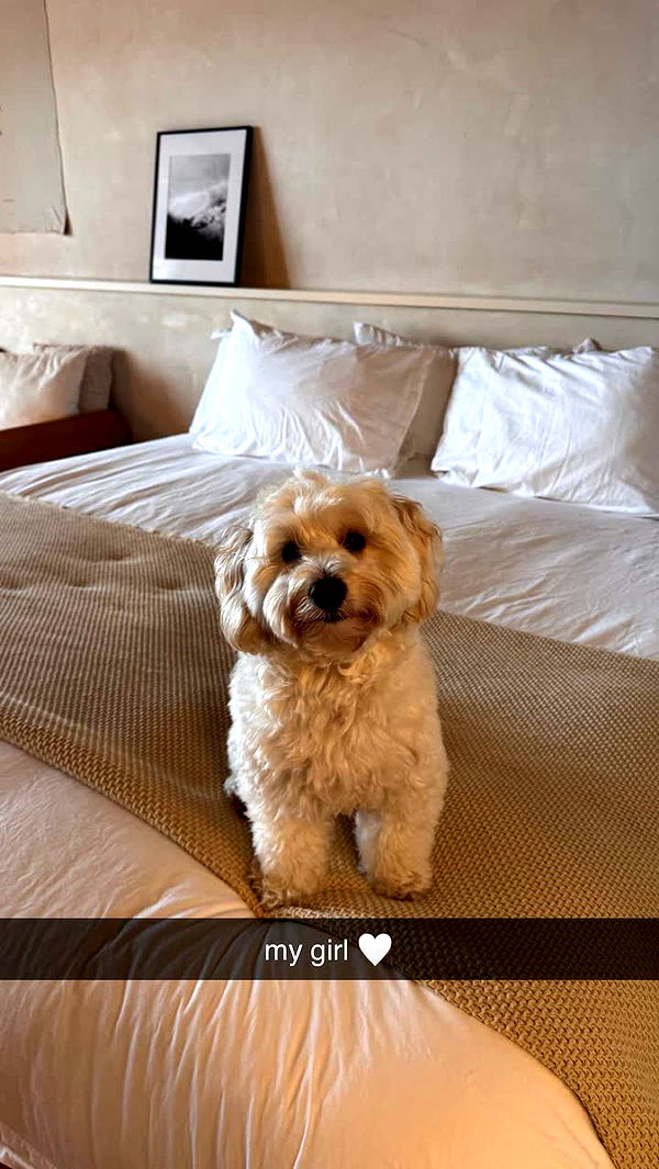 emilyelizabbeth image ~ Altpins