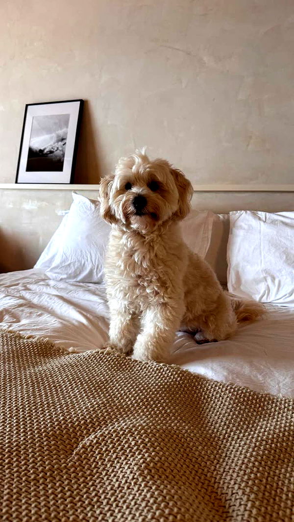 emilyelizabbeth image ~ Altpins