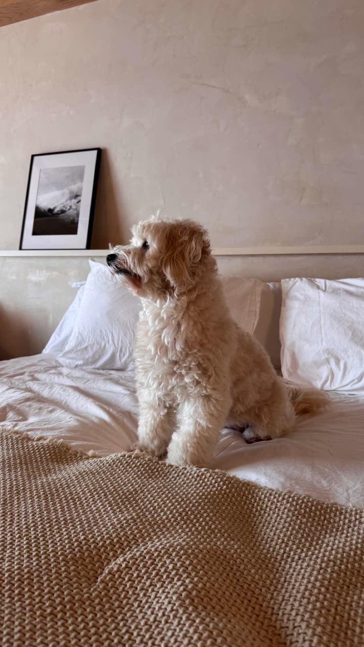 emilyelizabbeth snapchat image archive image