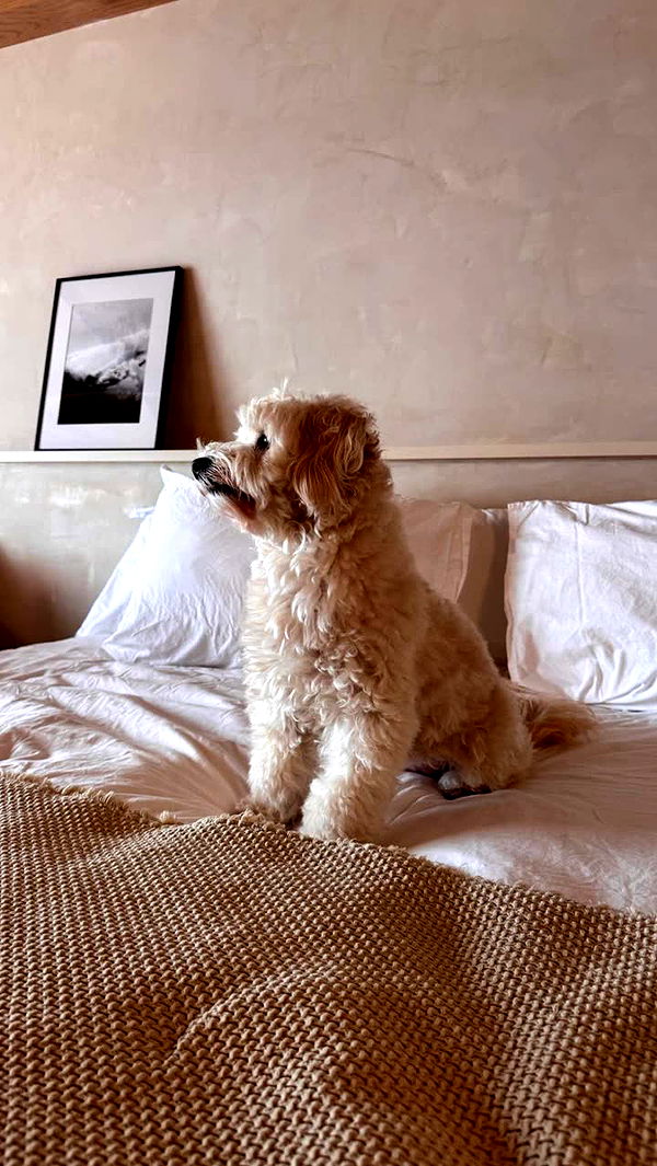 emilyelizabbeth image ~ Altpins