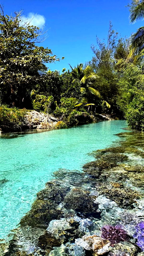 emilyelizabbeth image ~ Altpins