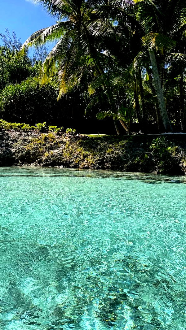 emilyelizabbeth image ~ Altpins