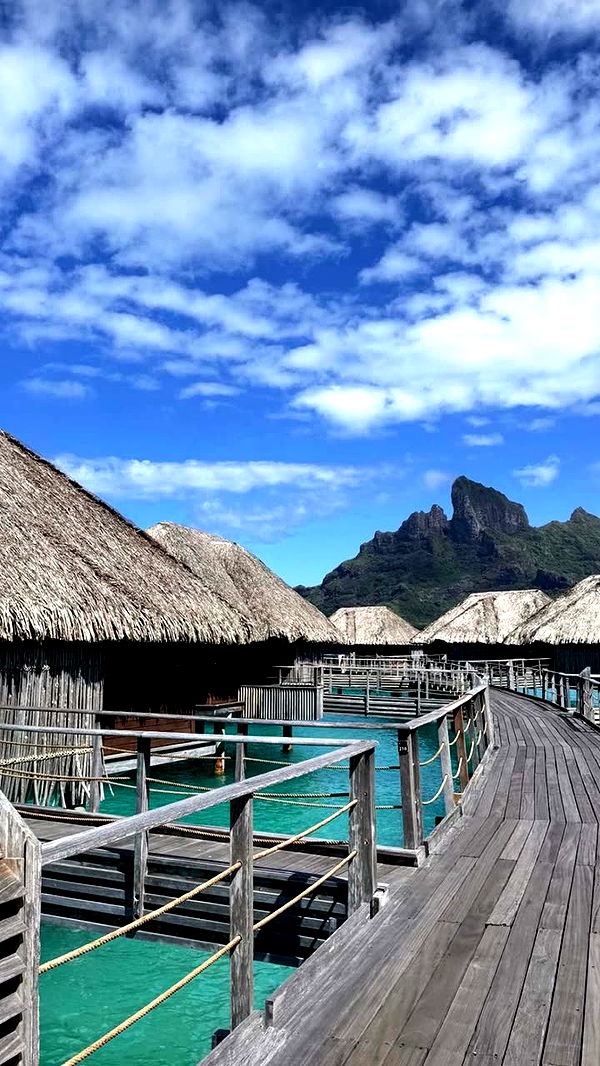 emilyelizabbeth image ~ Altpins