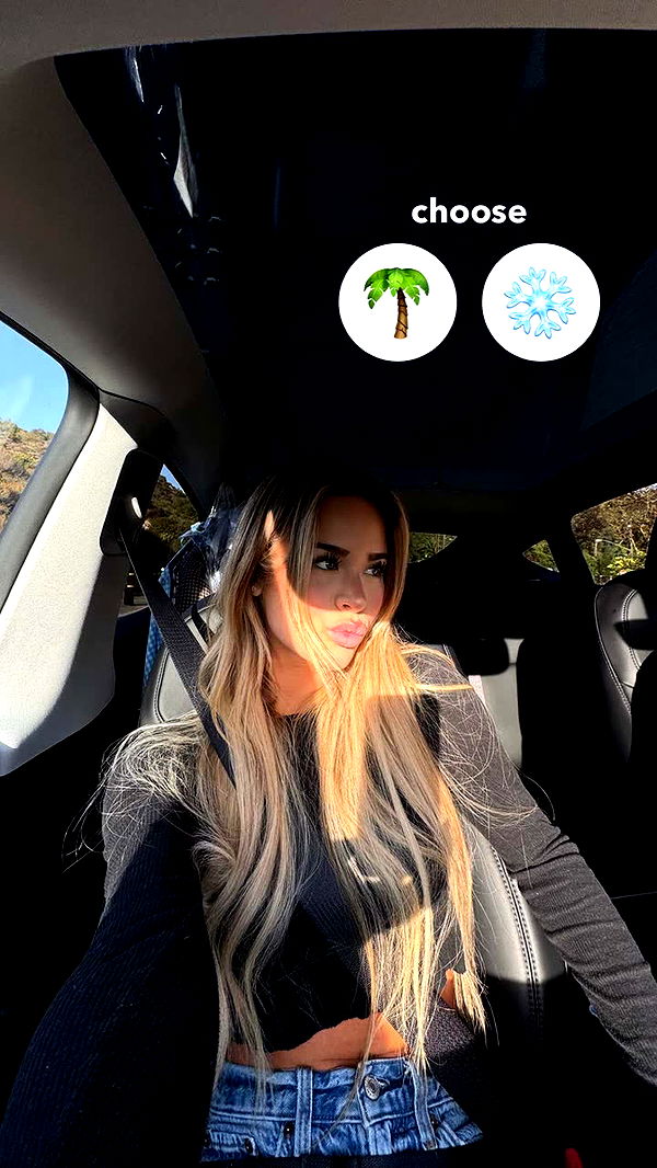 emilyelizabbeth image ~ Altpins