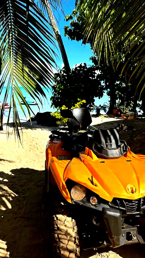 emilyelizabbeth image ~ Altpins