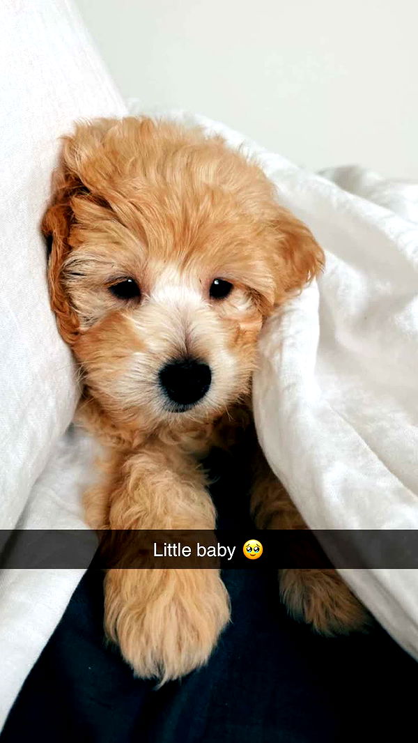 emilyelizabbeth image ~ Altpins