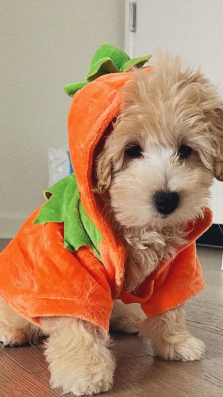 emilyelizabbeth snapchat image archive image