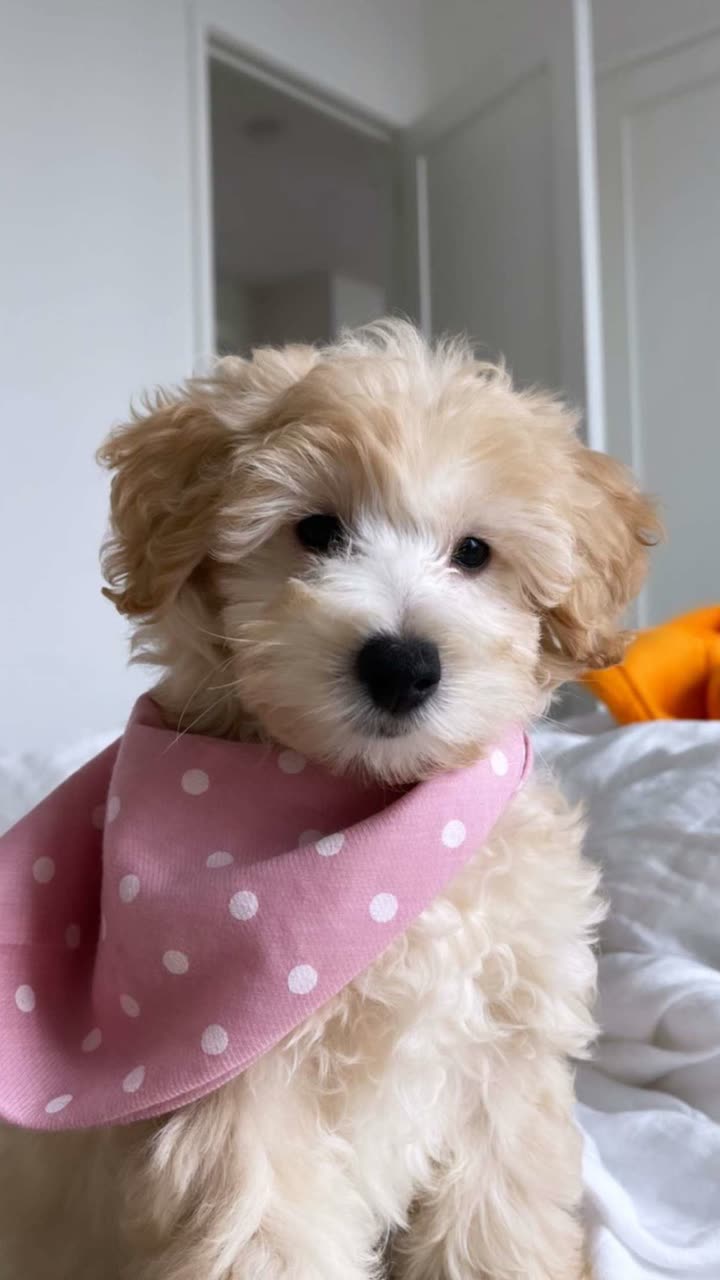 emilyelizabbeth snapchat image archive image