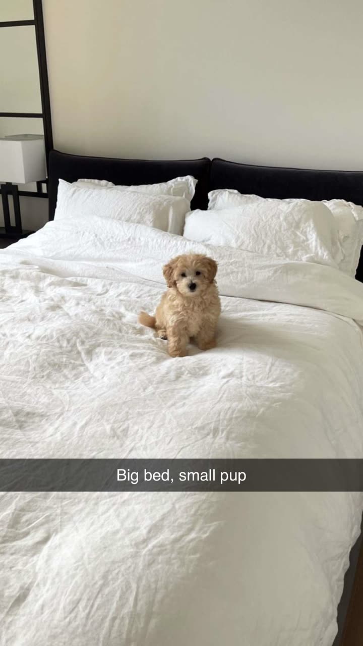 emilyelizabbeth snapchat image archive image