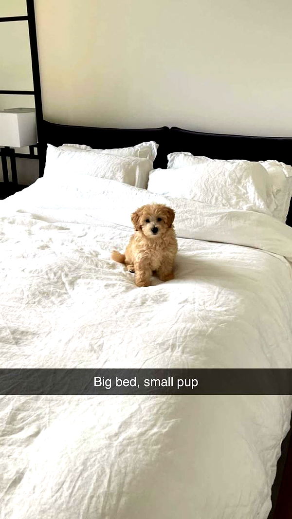 emilyelizabbeth image ~ Altpins