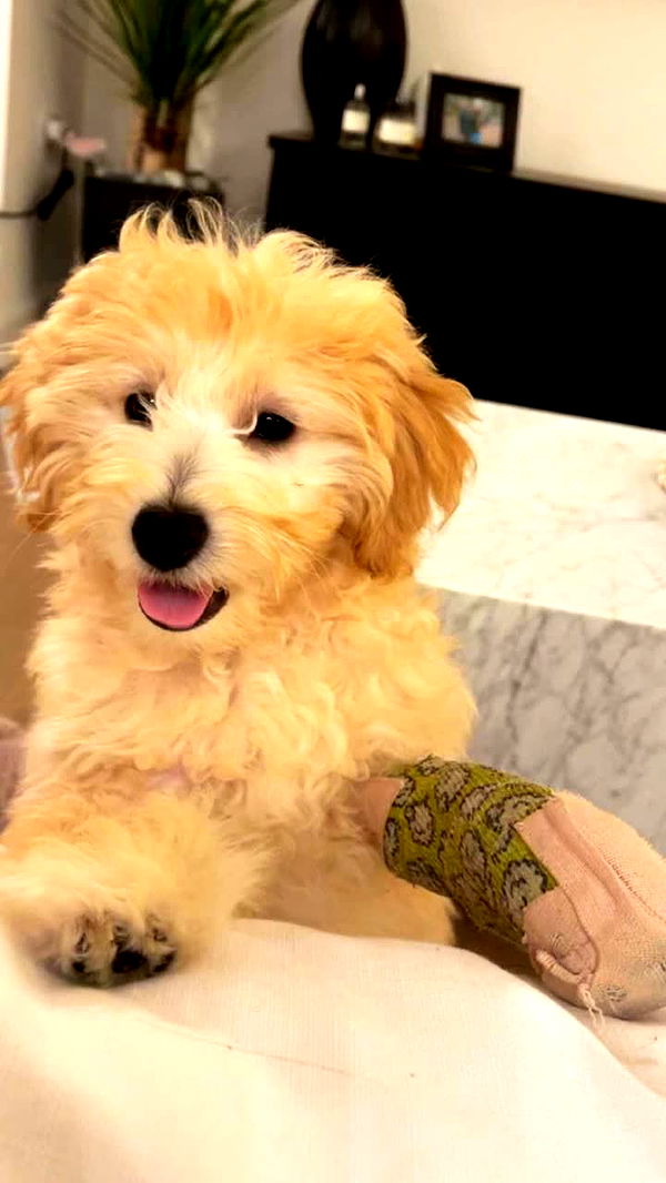 emilyelizabbeth image ~ Altpins