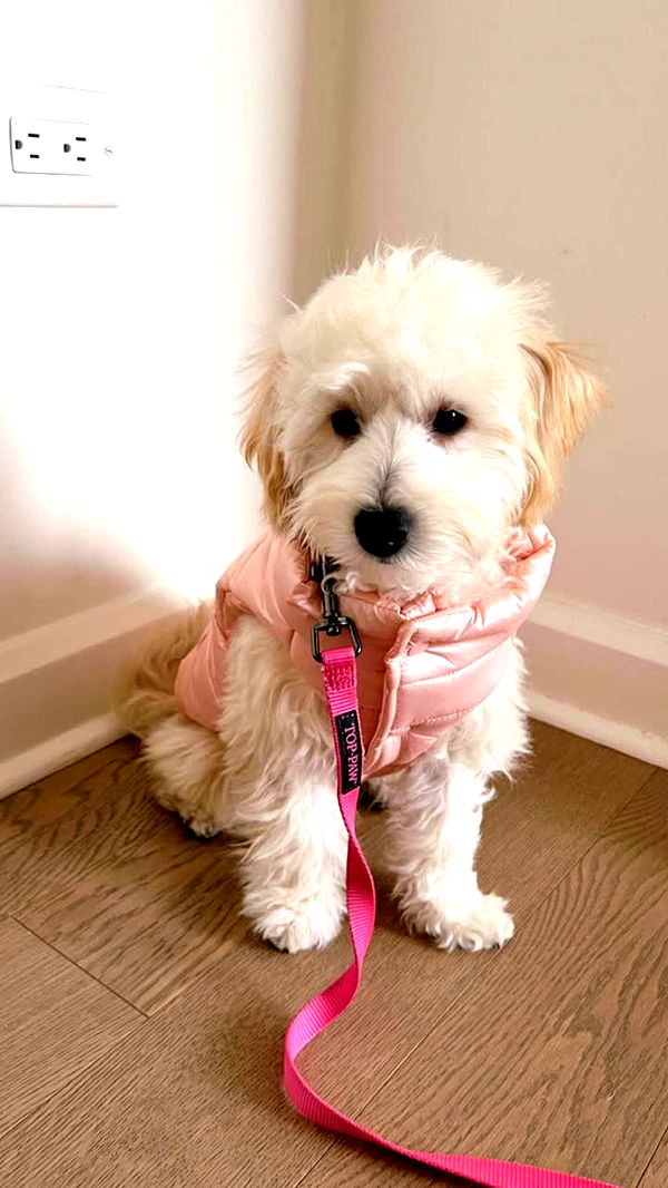 emilyelizabbeth image ~ Altpins