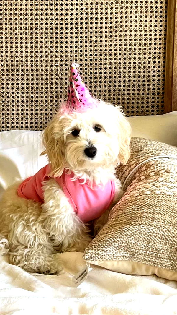 emilyelizabbeth image ~ Altpins