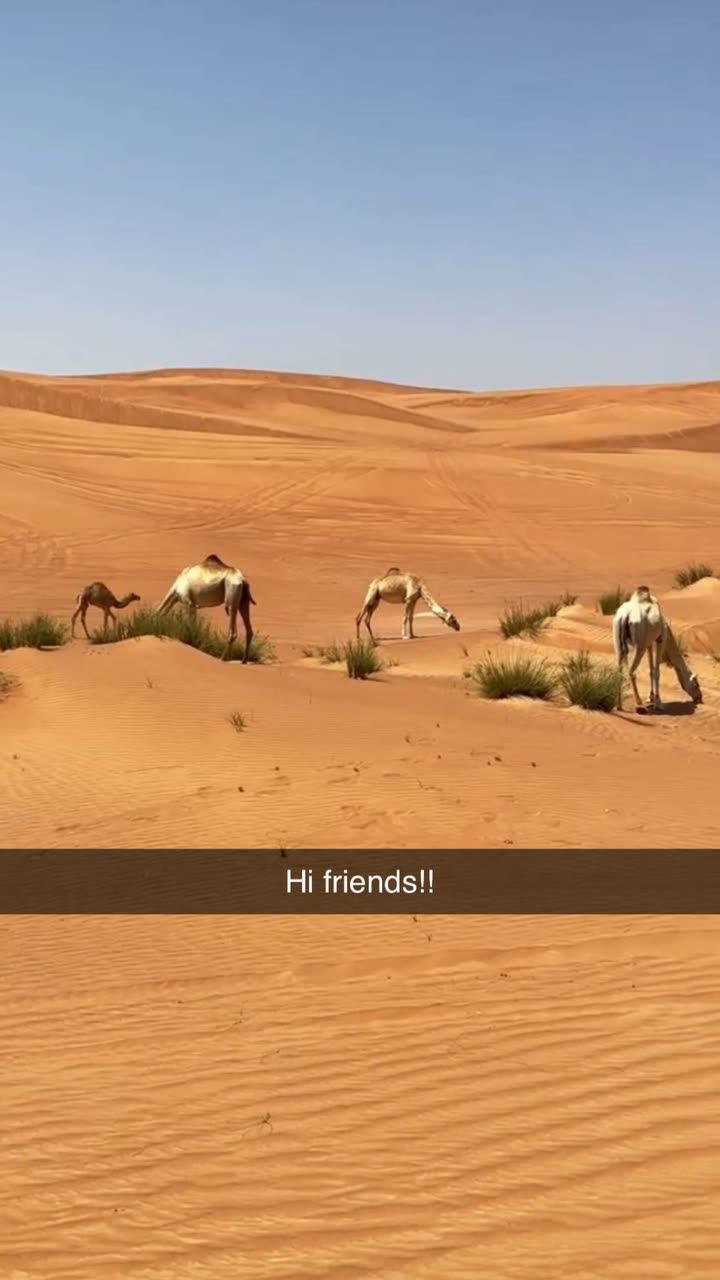 emilyelizabbeth snapchat image archive image