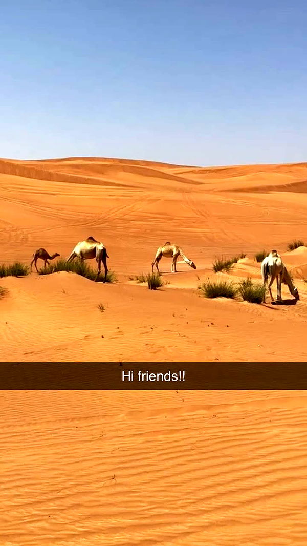 emilyelizabbeth image ~ Altpins