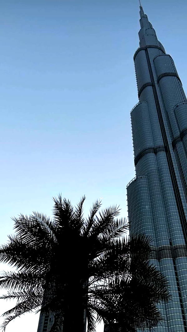 emilyelizabbeth image ~ Altpins