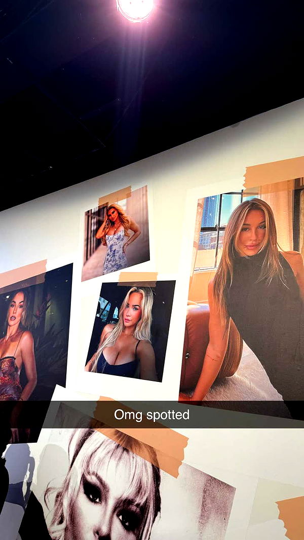 emilyelizabbeth image ~ Altpins