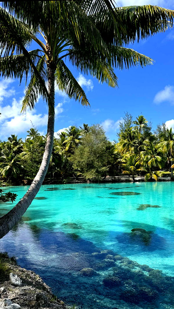 emilyelizabbeth image ~ Altpins