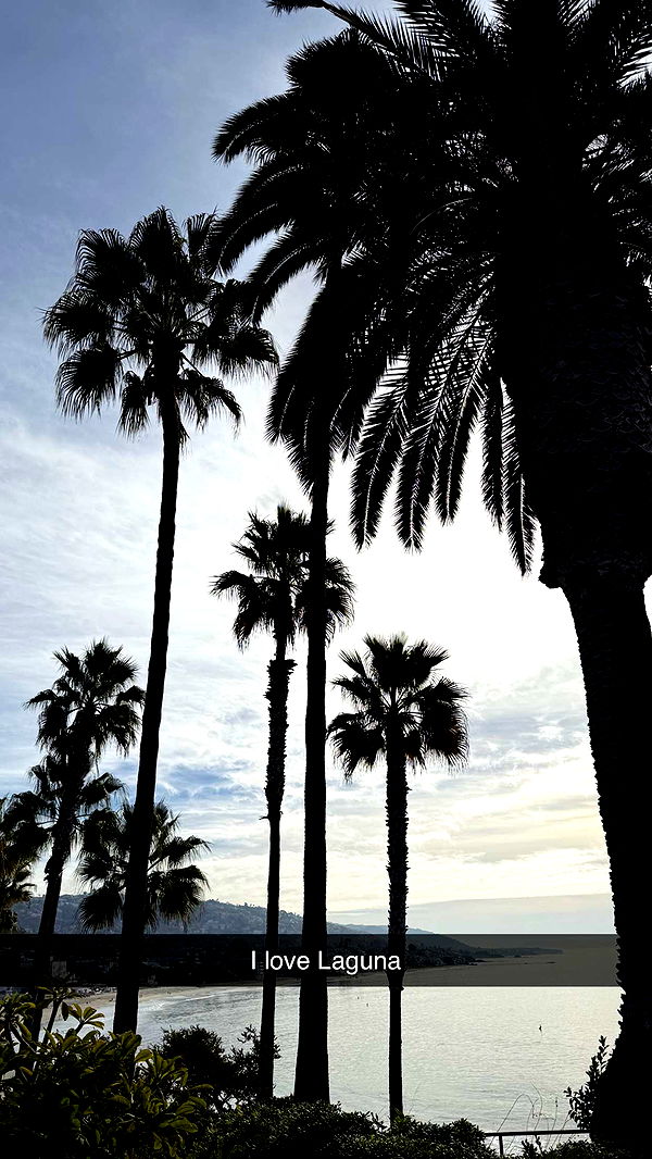 emilyelizabbeth image ~ Altpins