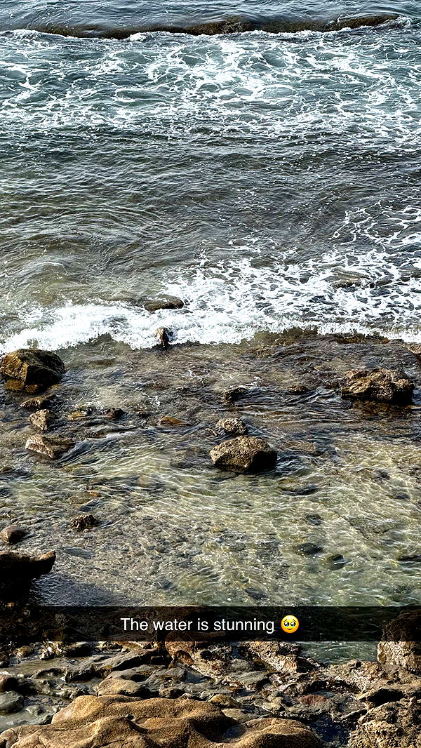 emilyelizabbeth image ~ Altpins