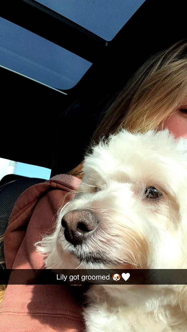 emilyelizabbeth image ~ Altpins