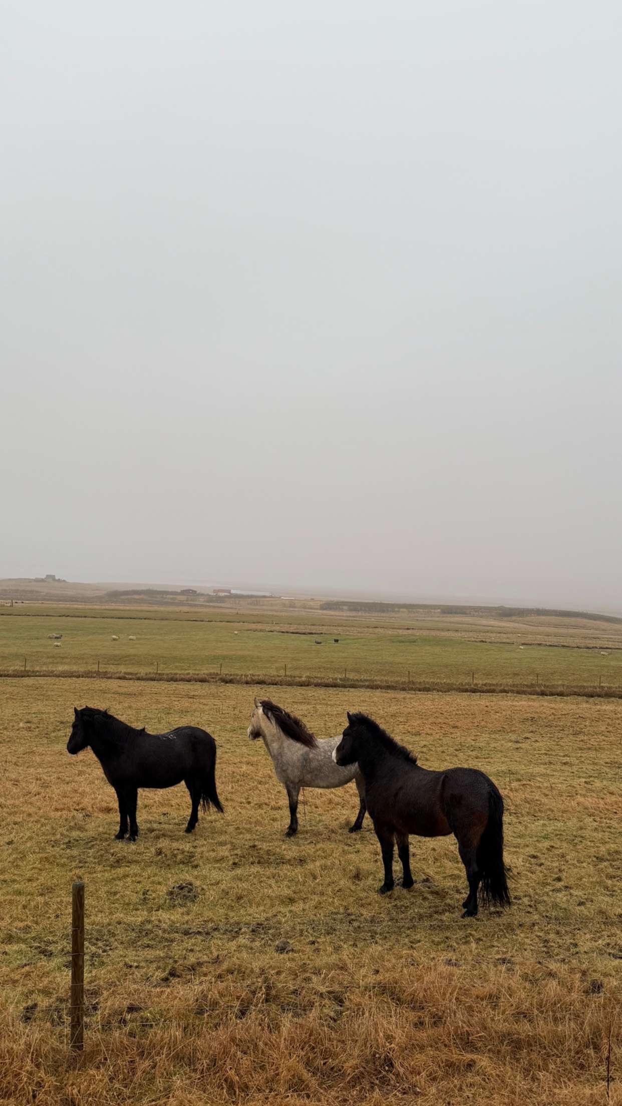 emilyelizabbeth snapchat image archive image